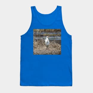 Great egret, wild birds, wildlife gifts Tank Top